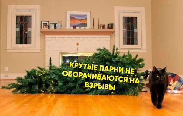 _акЪутьіЕ пАрни н _ _ овомчивАютсян 314 взрывы