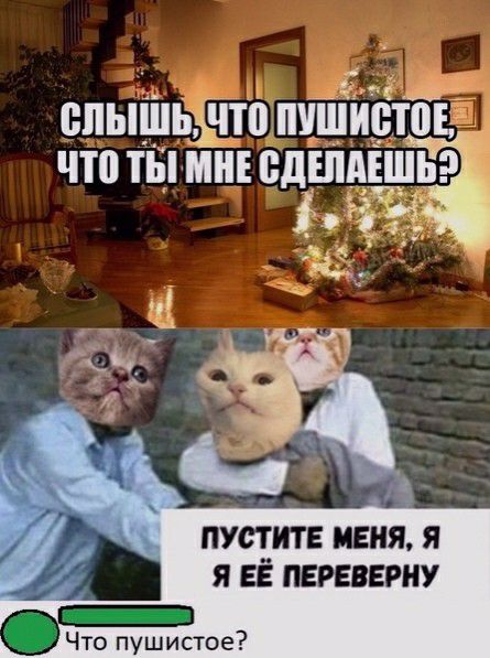 впышьіито шГш ртов что ты мнюдшпшьэ пустит меня я я ЕЁ нервному Что пушистое