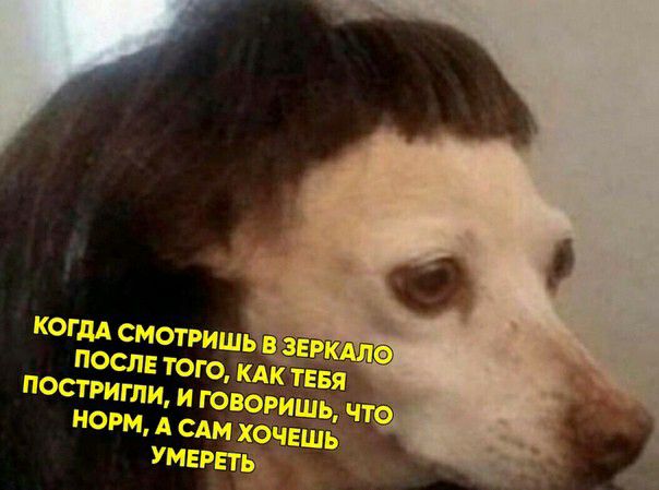 тд Т Мп Инь