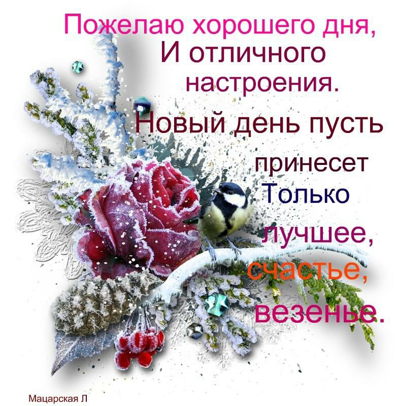 Пожепаю хорошего дня И отличного настроения ___оёыи день пусть Мацарская П
