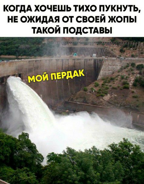 когдА хочешь тихо пукнуть нн ожидАя от свонй жопы тдкой подстдвы