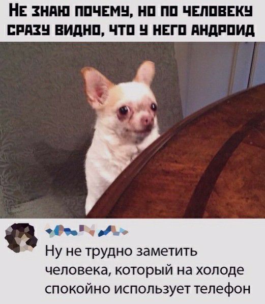 НЕ ЗНАЮ ППЧЕМН НП ПП ЧЕЛПВЕК ППП ВИдНП ЧТП НЕ НдППИд ь а Ну не трудно заметить человека КОТОРЫЙ на холоде спокойно использует телефон