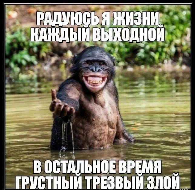 ЦЕ За пу А Р р ЕЯ чё __ 475 ю ТЁі Х Ы А у