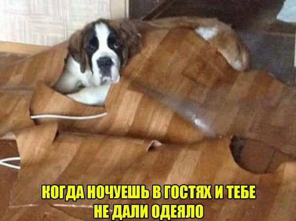 фф ЮГдА НВШЕШЬ В БЁТ И ТЕБЕ _НЕ ШШИ ШШШ