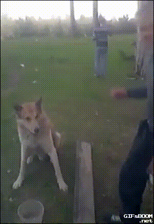 пз