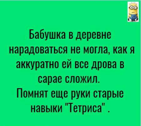 Бабушка в деревне нарадоваться не могла как я аккуратно ей все дрова в сарае сложил Помнят еще руки старые навыки Четриса