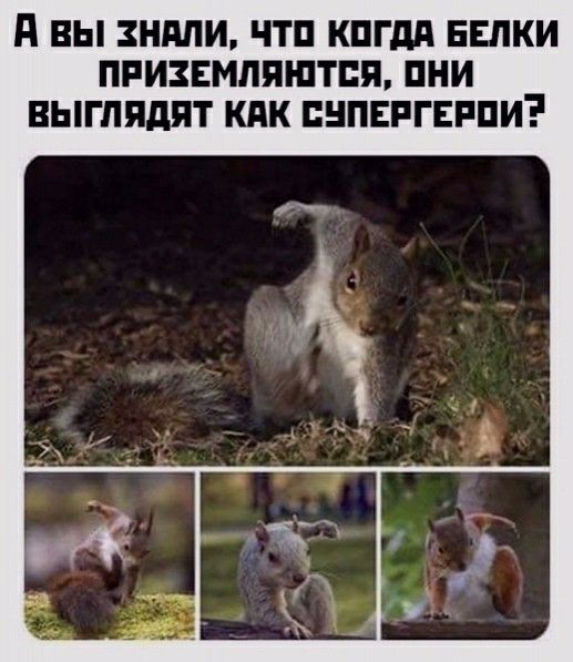 А ВЫ ЗНППИ ЧТП КПГдд ЕЕЛКИ ПРИЗЕМЛЯШТВЯ ПНИ ВЫГПЯДПТ КПК ПНПЕРГЕРПИ