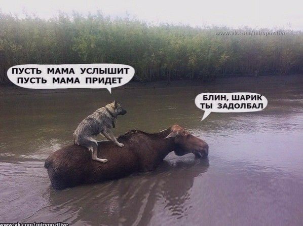 СП МАМА УШЫШИТ ПУСТЬ МАМА ПРидЕТ Блин шдги ты зддолвАл
