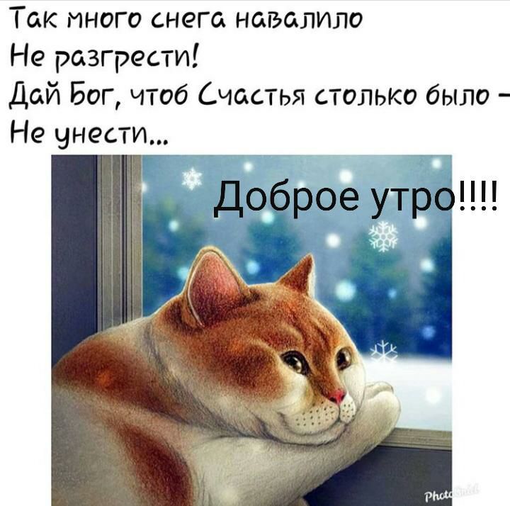 Так иного снега навалило Не разгрести Дай Бог чтоб Счастья столько было Не унести Доброе утро