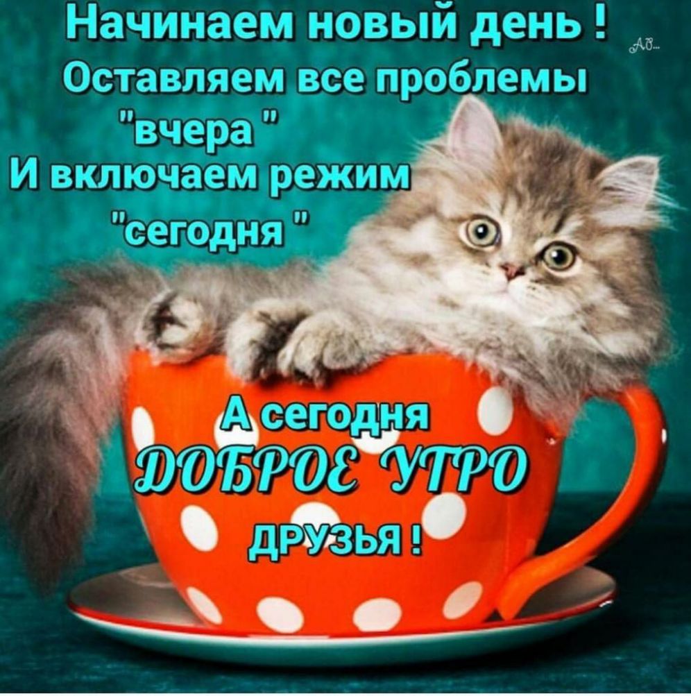 Начинаем новый день 0 ртвпе всепроблемы 1 ЖУ Асегодоня _ Отта утро дрзья ЁА