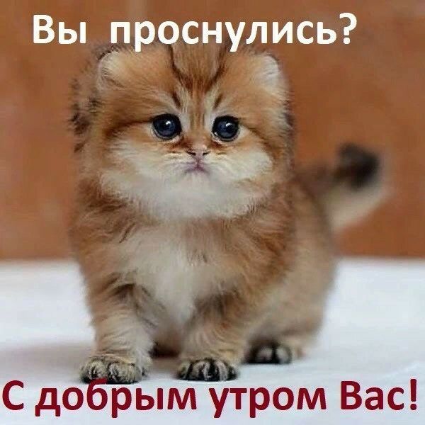 Вы проснулись а 7 _ Ф _ С до ым утром Вас