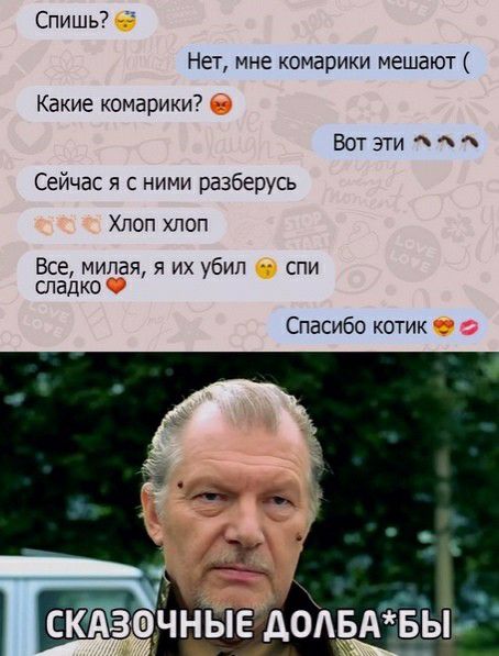 Спишь Нет мне комарики мешают Какие комарики Вот эти Сейчас я с ними разберусь Хпоп хлоп Все милая я их убип спи сладко Спасибо котик