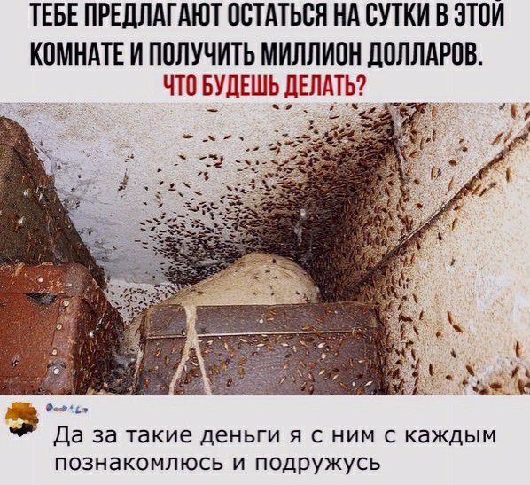 ТЕБЕ ПРЕДЛАГАЮТ ОСТАТЬСЯ НА СУТКИ В ЭТСИ КПМНАТЕ И ППЛУЧИТЬ МИЛЛИСН ЦППЛАРПВ ТВ БУДЕШЬ ДЕЛДТЬ 3 Да за такие деньги я с ним с каждым познакомлюсь и подРУЖусь