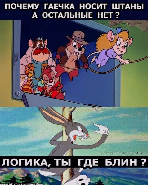 ПОЧЕМУ ГАЕЧКА НОСИТ ШТАНЫ А ОСТАЛЬНЫЕхНЕТ