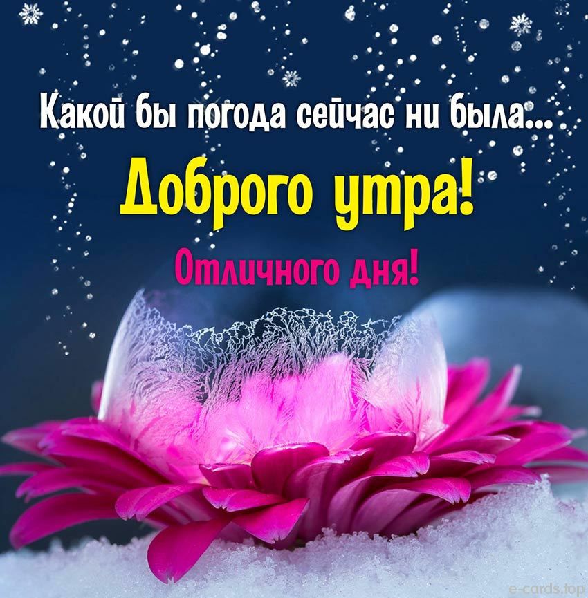 и _ с 33 _ Какои бы погода оейчёе ни бырёд