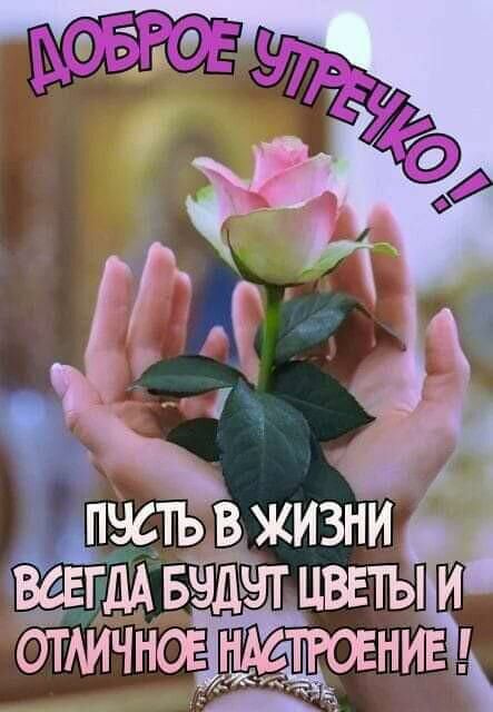ВСЕГДА БВДЧТ ЦВЕТЬИЁ ОТАИЧНОЕ Н