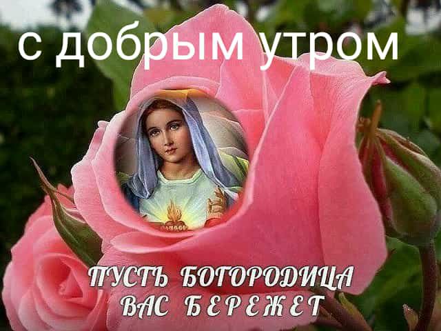 стъ ъоттоэтт гв дс ъсгргжгт