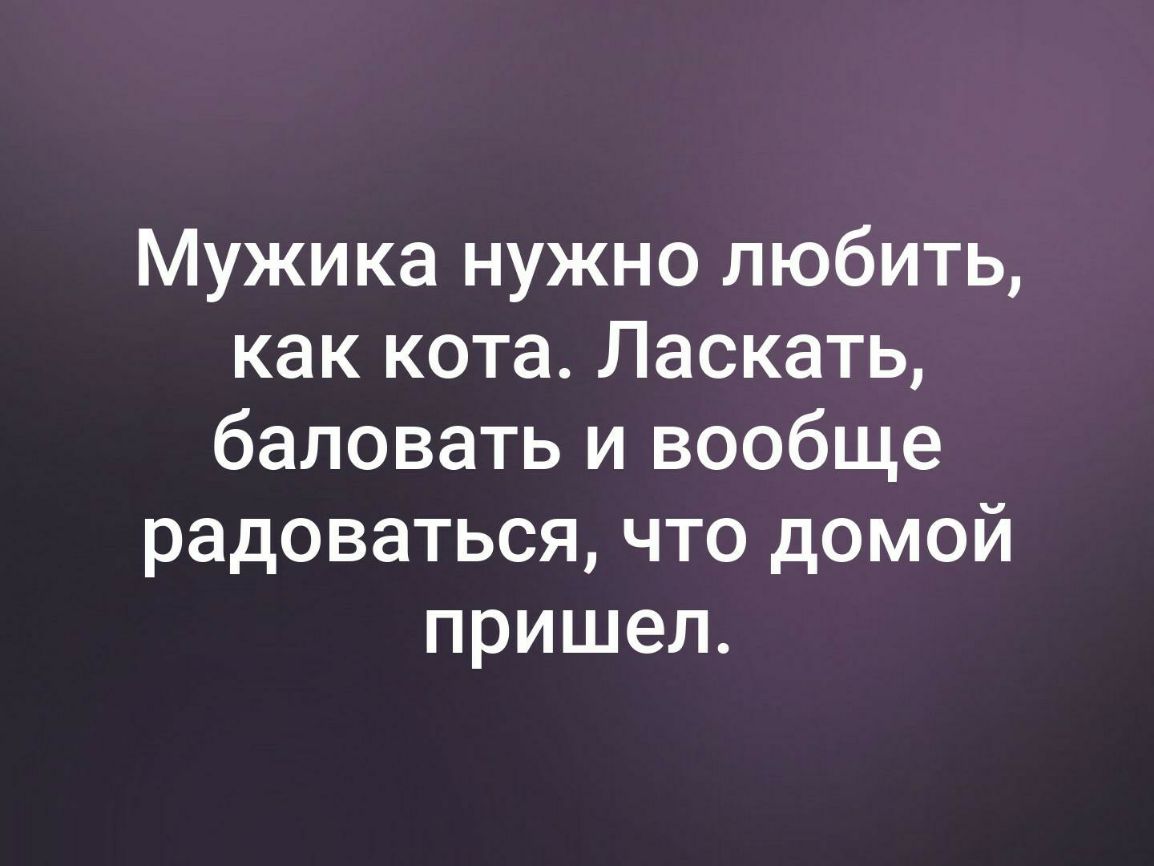 Мужика нужно любить как кота Ласкать баловать и вообще радоваться что домой пришел