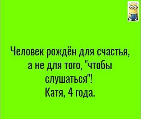 ш ямшттбн 331141