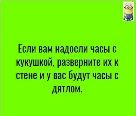 ампицилина шипитш