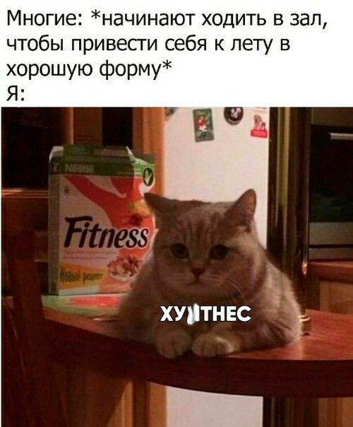 Многие начинают ходить в зал чтобы привесги себя к лету в хорошую форму Я хуятнвс