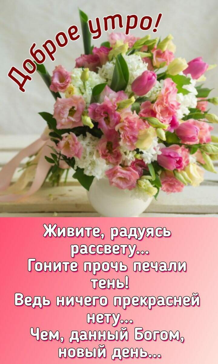 Жшёзштэо 000 ТЮ арте шими ЬШ шшчзпэтэ ткёшкэбё шщооо мгюкюъпй ыъпй 000