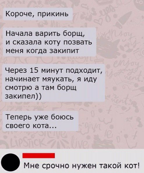 Короче прикинь Начала варить борщ и сказала коту позвать меня когда закипит Через 15 минут подходит начинает мяукать я иду смотрю а там борщ закипел Теперь уже боюсь своего кота _ Мне срочно нужен такой кот