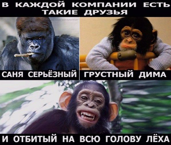 В КАЖДОЙ КОМПАНИИ ЕСТЬ ТАКИЕ дРУЗЬЯ и отвитый НА всю гоіюву ЛЁХА