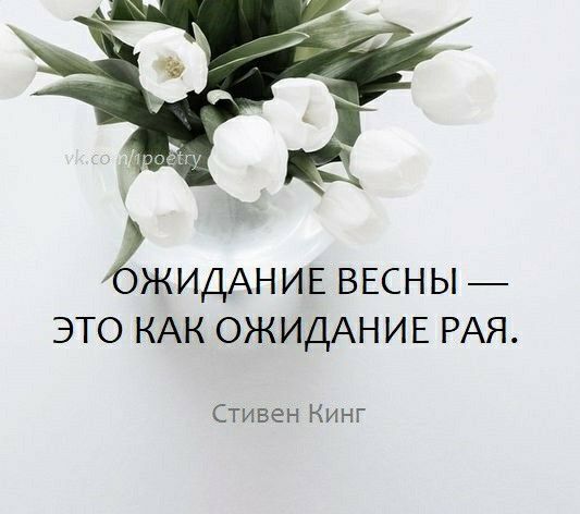ЗЖИДАНИЕ ВЕСНЫ ЭТО КАК ОЖИДАНИЕ РАЯ Стивен Кинг