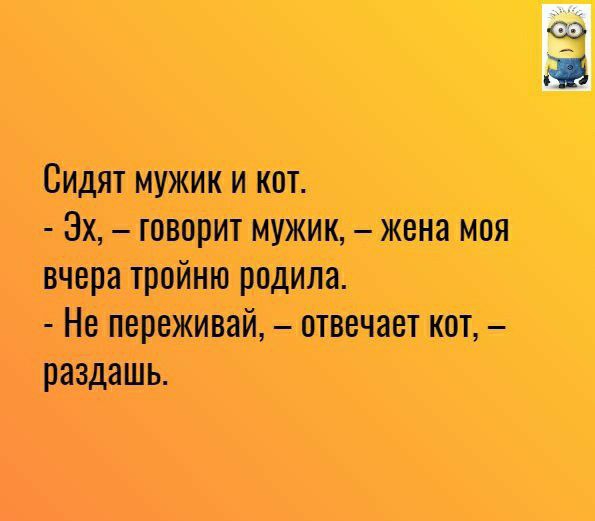 Сидят мужик и кот Эх творит мужик жена мая вчера тройни родила Не переживай отвечает кат раздашь