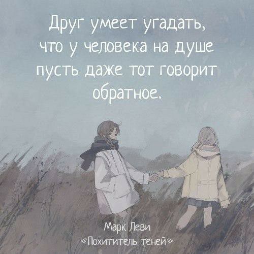 МарЛеви Похитш ь теней