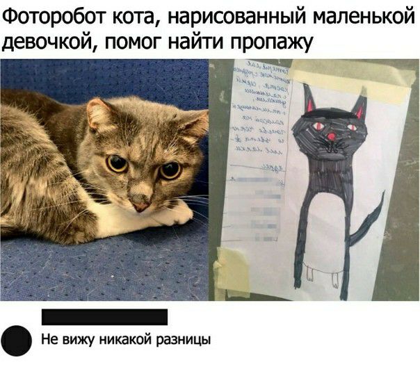 Фоторобот кота нарисованный маленькой девочкой помог найти пропажу _ Не вижу никакой разницы