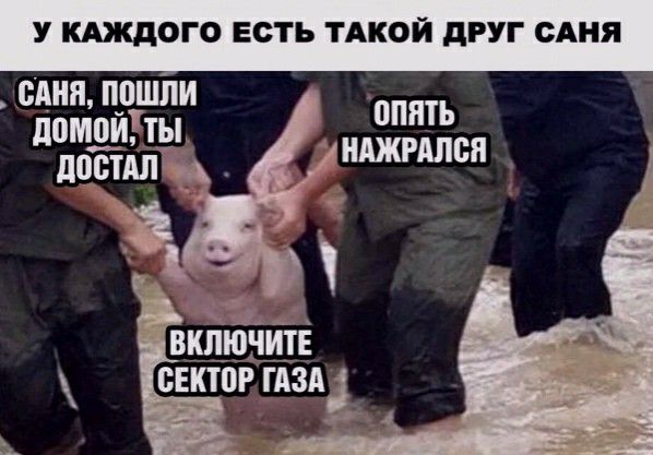 У КАЖДОГО ЕСТЬ ТАКОЙ дРУГ САНЯ сАня ппшпи домой ты дошиТ і _ _ ВШЮНШЕ