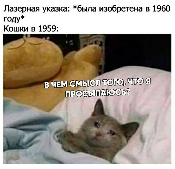 Лазерная указка была изобретена в 1960 годУ Кошки 5 1959