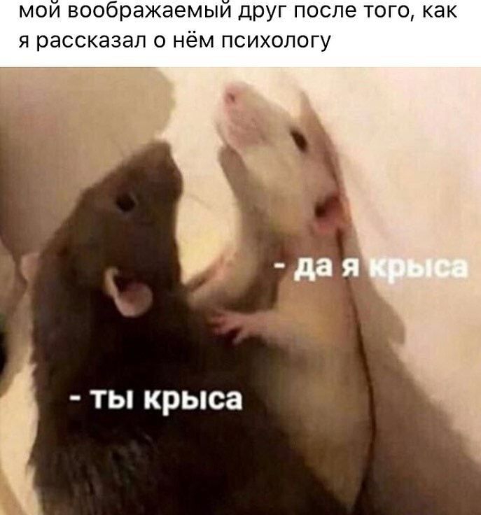 мои воображаемым ДРУГ после того как я рассказал о нём психологу ТЫ крыса