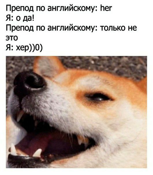 Препод по английскому Ьег Я о да Препод по английскому только не это Я хер0