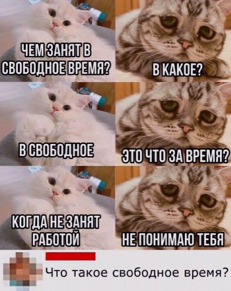 ВБВОБПДНПЕ КОГДА НЕ 3 ЯТ РАБПТПЙ на Что такое свободное время