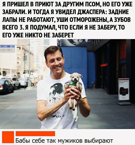 Я ПРИШЕЛ В ПРИЮТ ЗА дРУГИМ ПСОМ НО ЕГО УЖЕ ЗАБРАЛИ И ТОГдАЯ УВИдЕЛ дЖАСПЕРА ЗАДНИЕ ПАПЫ НЕ РАБОТАЮТ УШИ ОТМОРОЖЕНЫА ЗУБОВ ВСЕГО 3Я ПОДУМАЛ ЧТО ЕСЛИ Я НЕ 3АБЕРУ ТО ЕГО УЖЕ НИКТО НЕ 3АБЕРЕТ_ Бабы себе так мужиков выбирают