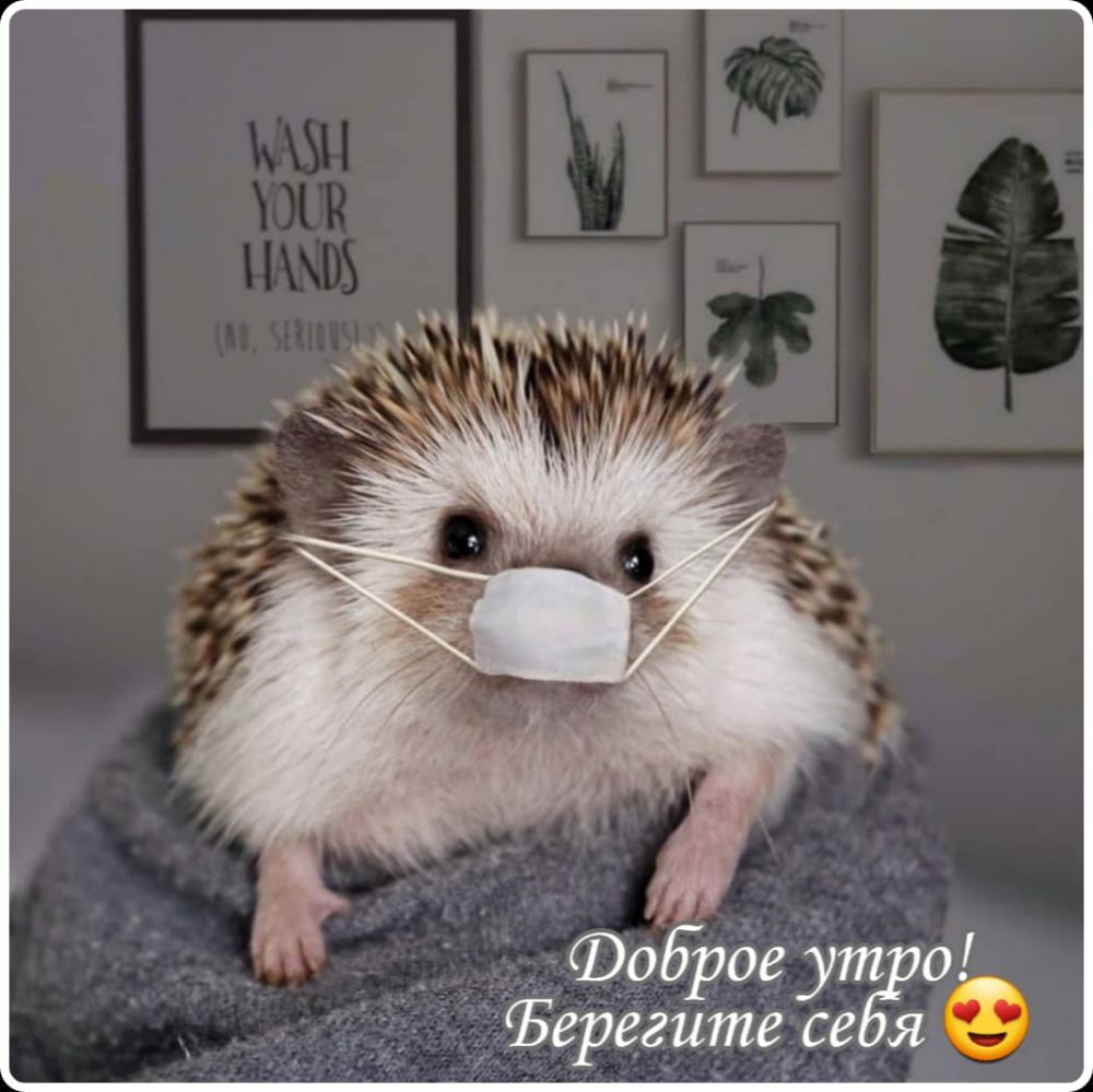 ФобРое ут _ 0 Ъерегите себЁа е