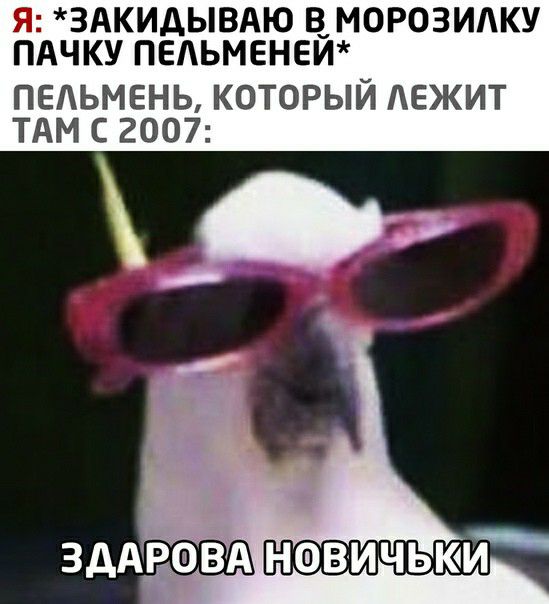Я ЗАКИДЫВАЮ В МОРОЗИАКУ ПАЧКУ ПЕАЬМЕНЕЙ ПЕАЬМЕНЬ КОТОРЫЙ ЕЖИТ ТАМ С 2007