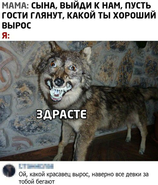 МАМА сынд выйди_к ндм пусть_ гости тянут кдкои ты хорошии вырос и здрдсте дни н Ой какой красавец вырос наверно все девки за тобой бегают