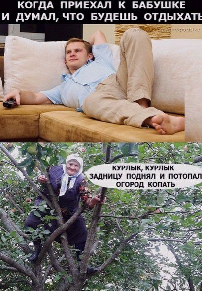 КОГДА ПРИЕХАЛ К БАБУШКЕ И дУМАП ЧТО БУДЕШЬ ОТДЫХАТ кугпык куглык зщницу поднял и потопдл
