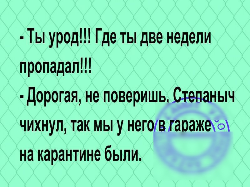 Ты урод Где ты две недели пропадал дорогая не поверишь Степаныч чихнул так мы у НЕГОВГЗОЗЖЕО на карантине были