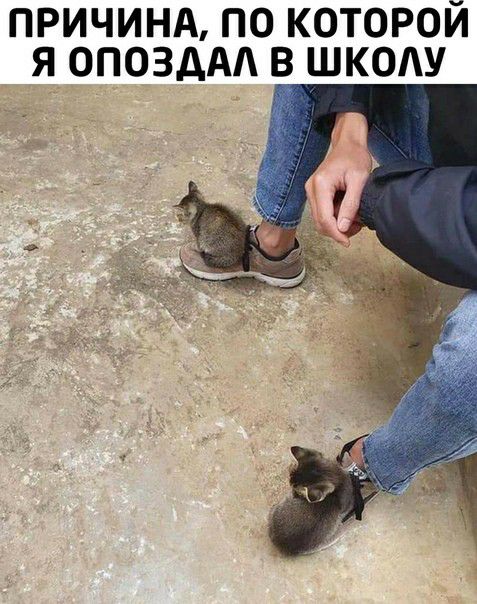 ПРИЧИНА по которой я ОПОЗДАА в школу