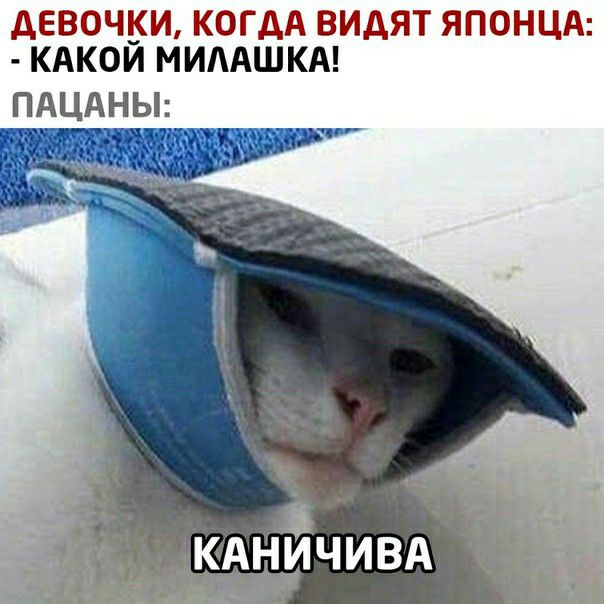 дЕВОЧКИКОГдАВИдЯТЯПОНЦА КАК0ИМИААШКМ ПАЦАНЬЬ КАНЁЧИВА