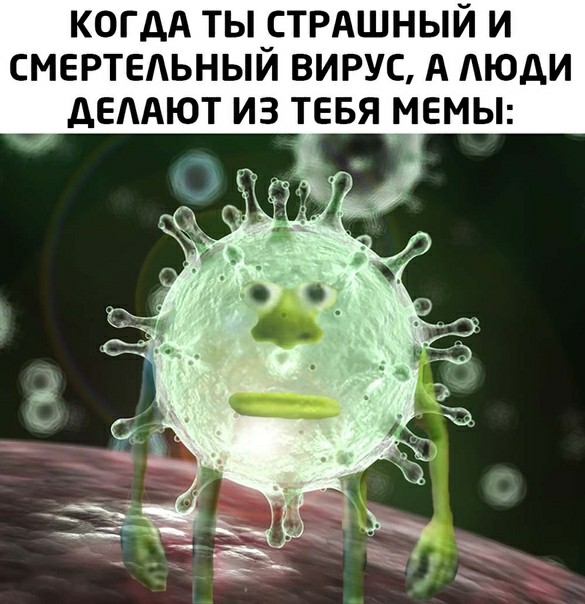 КОГДА ТЫ_СТРАШНЫЙ И СМЕРТЕЛЬНЫИ ВИРУС А ЮДИ дЕААЮТ ИЗ ТЕБЯ МЕМЫ