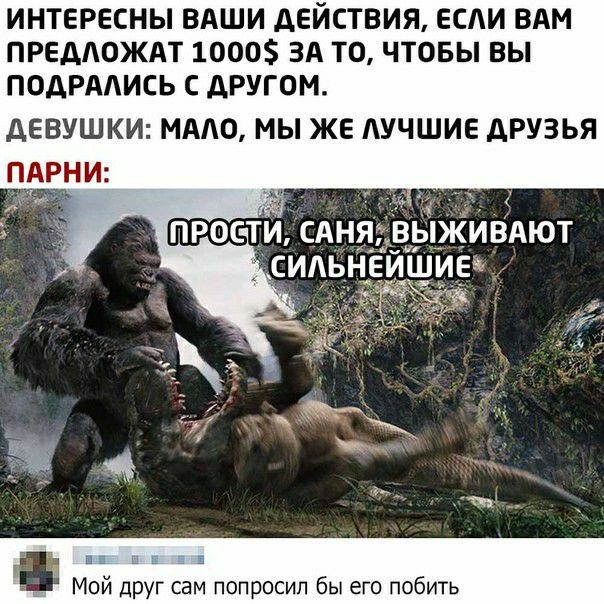 ИНТЕРЕСНЫ ВАШИ дЕЙСТВИЯ ЕСАИ ВАМ ПРЕДЮЖАТ 1000 ЗА ТО ЧТОБЫ ВЫ ПОДРАЛИСЬ С дРУГОМ дЕВУШКИ МАЛО МЫ ЖЕ АУЧШИЕ АРУЗЬЯ