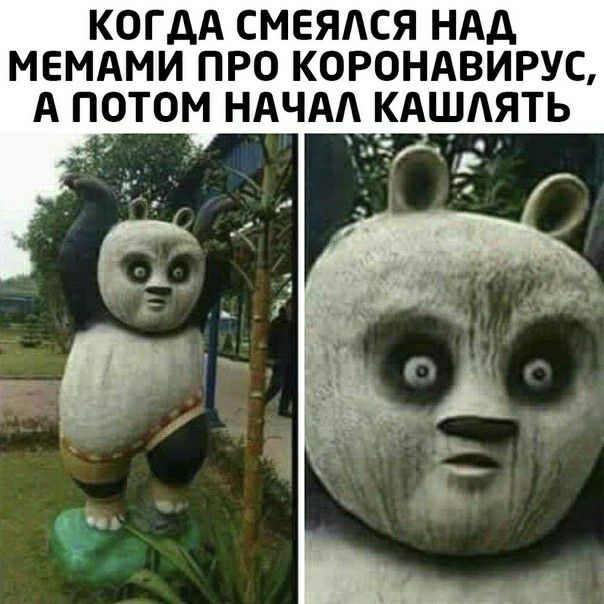 КОГДА СМЕЯАСЯ НАД МЕМАМИ ПРО КОРОНАВИРУС А ПОТОМ НАЧАА КАШАЯТЬ 1