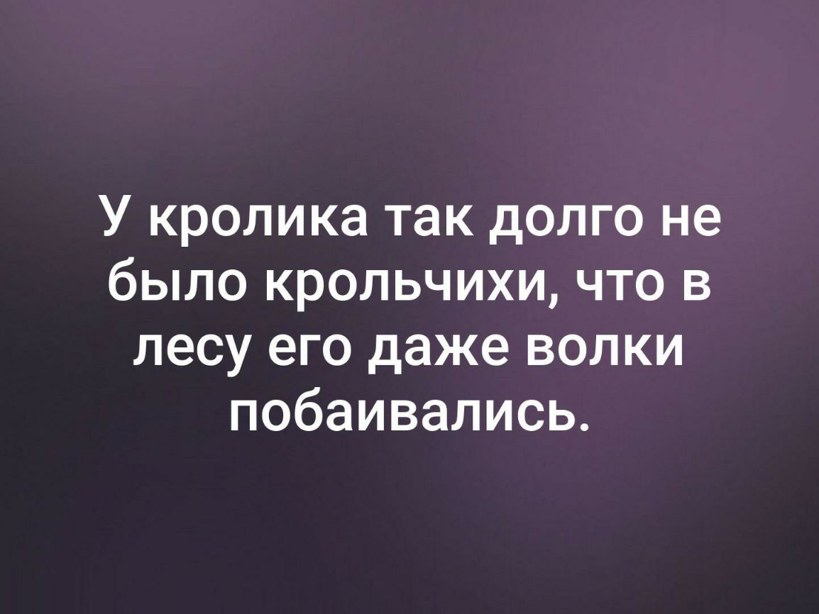 У кролика так долго не было крольчихи что в лесу его даже волки побаивались