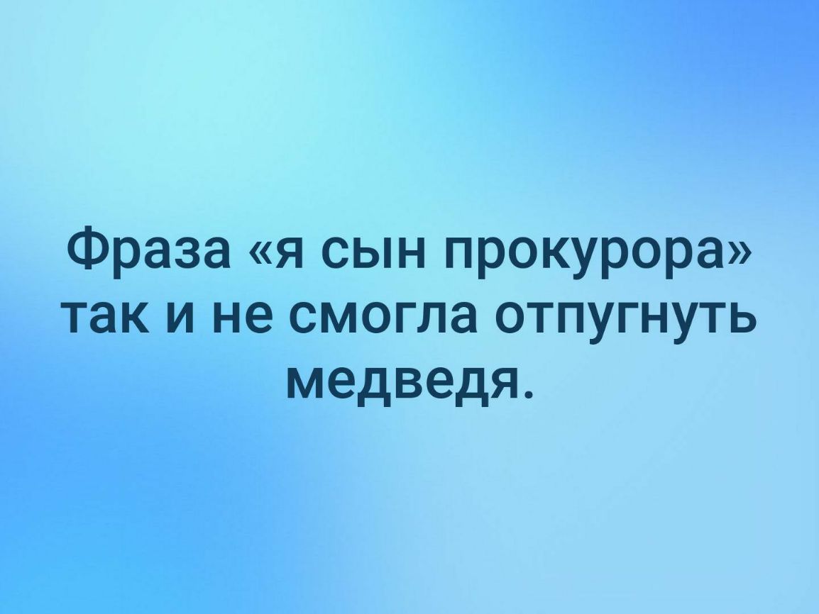 Фраза я сын прокурора так и не смогла отпугнуть медведя